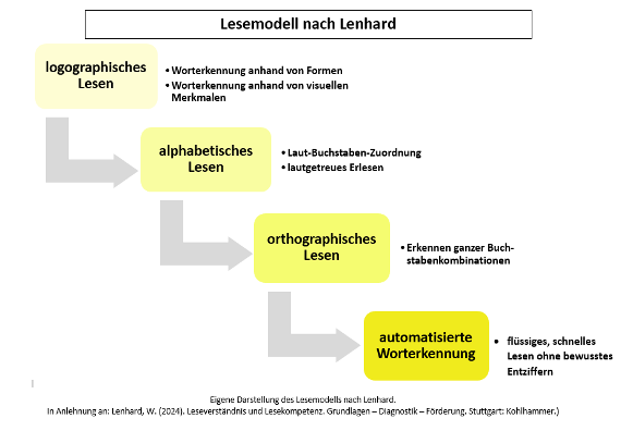 Lesemodell nach Lenhard.png