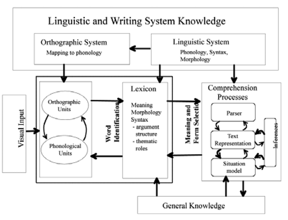 Lesemodell Perfetti und Adlof.png